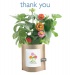 thank-you zinnia.jpg